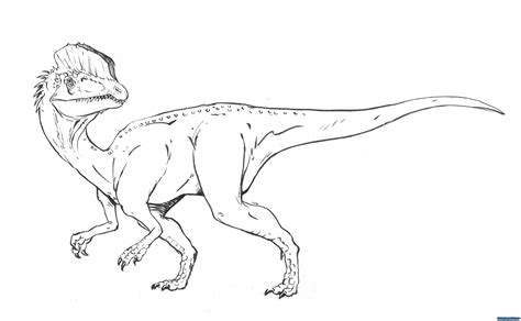 Raptor Coloring Pages - Coloring Home