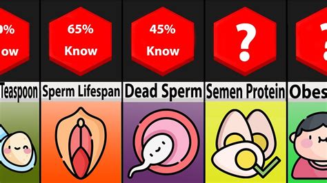 comparison facts you didn t know about semen youtube