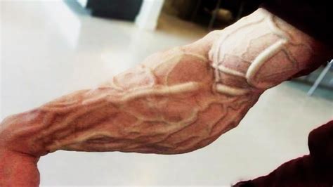How to get muscular without all the veins popping out - Quora