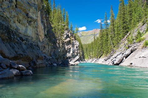 Cascade River Banff National Park Stock Photo Image Of Banff Nature