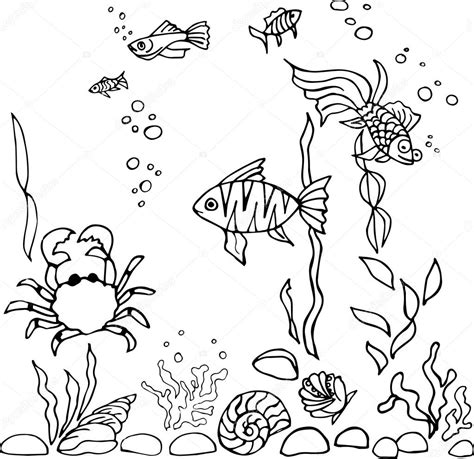Aquarium Fish Drawing At Getdrawings Free Download
