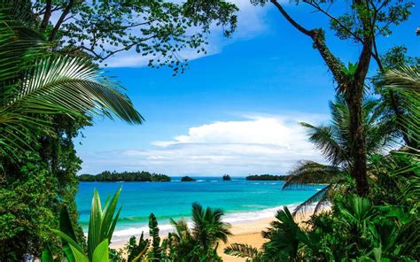 red frog beach hoteles en bocas del toro panama