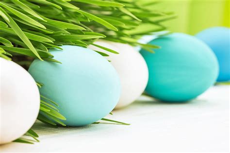 Wallpaper Easter Egg Holidays 2560x1706