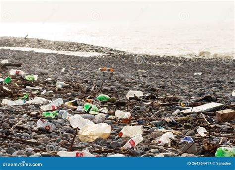 Beach Litter Sea Pollution Trash On Sea Shore Environmental
