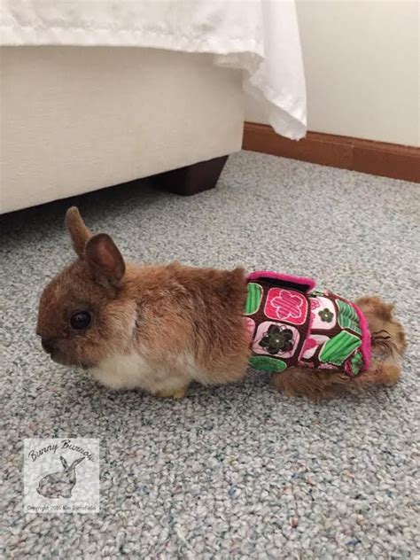 Pin On Diapers For Rabbits Bunnies And Guinea Pigs