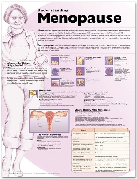 Pin On Symptoms Of Menopause And Perimenopause