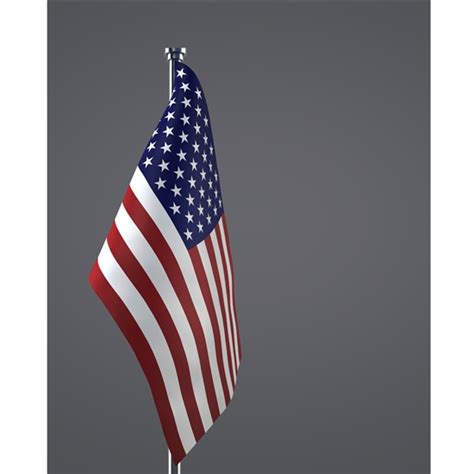 Formal American Flag Printed Backdrop | Backdrop Express