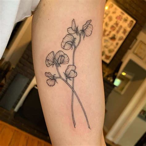 Top 50 Unique Sweet Pea Flower Tattoo Ideas Surprise With Second Tattoo