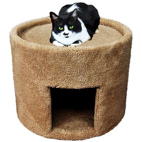 New Cat Condos Carpeted Brown Cat Bed And House 17 H Petco