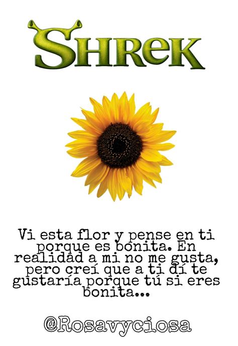 Shrek Ideas Aniversario Up Pixar Small Drawings Vmin Flower Frame