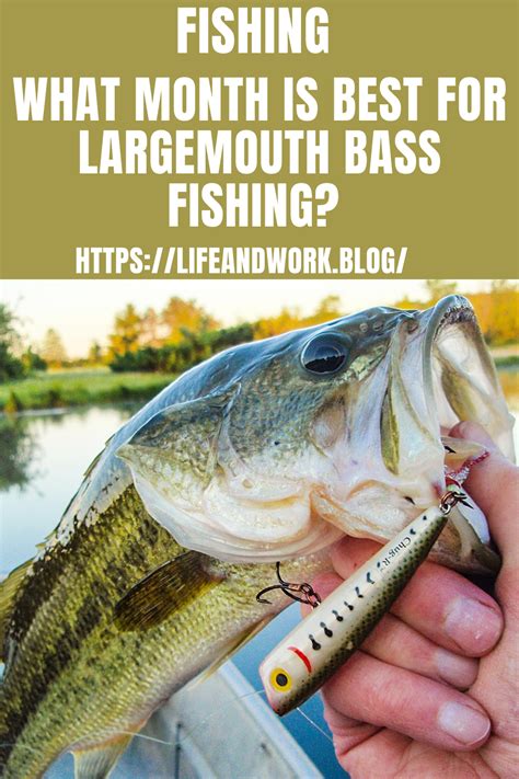 What Month Is Best For Largemouth Bass Fishing