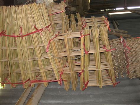 Bamboo Cane Trellis Bt003 China Bamboo Trellis And Bamboo Ladder Price