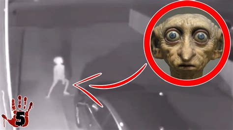Top 5 Scary Creatures Caught On Camera Youtube