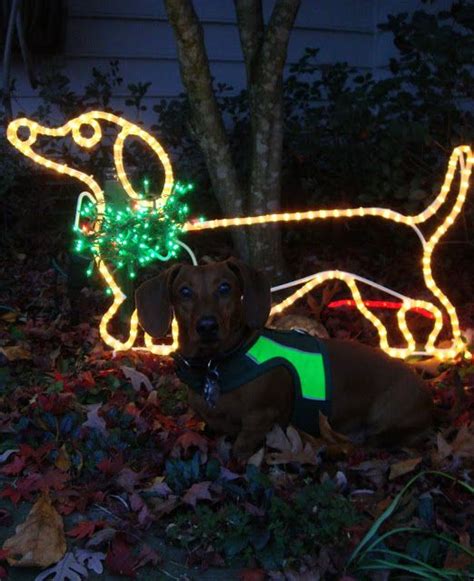 I now take great care. me likey dat & get crafty: my outdoor lighted doxie (With ...