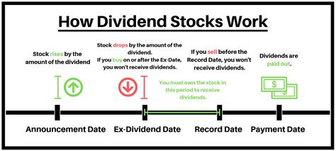 An In Depth Guide To How Dividend Stocks Work Trade Options With Me