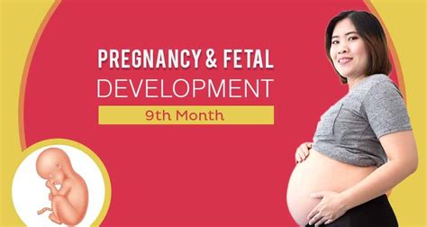 ninth month of pregnancy care diet symptoms and fetal development