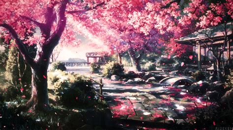 37 Scenery Anime Wallpaper Cherry Blossom