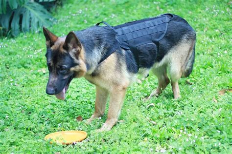 Multi Functional K9 Tactical Military Police Harness