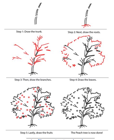 How To Draw A Tree Step By Step Image Guides Tree Drawing Tree