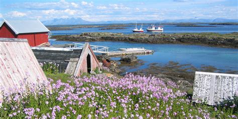 The Vega Islands A Treasured Unesco Listed Archipelago Visit Norway
