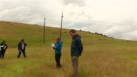 Compost Applications On Rangeland Carbon Sequestration And Ecosystem