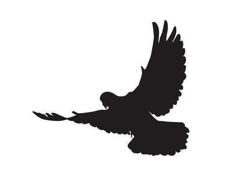 Dove Silhouette Png Download Free Png Images