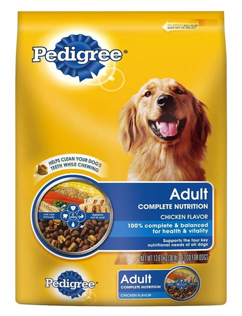 Healthy Dog Food Brands