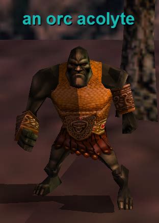 An Orc Acolyte - Project 1999 Wiki