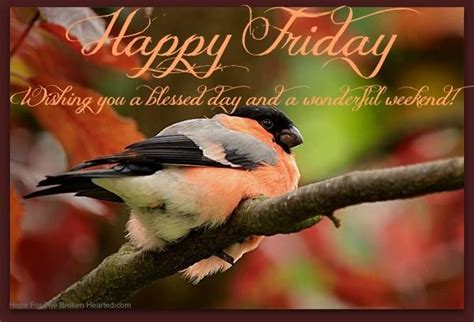Happy Friday Rejoice And Be Glad Bullfinch Morning Blessings