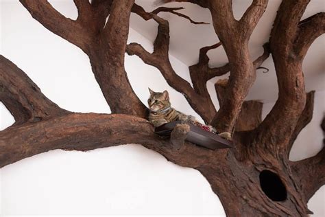 An Incredibly Realistic Long Limbed Indoor Cat Tree