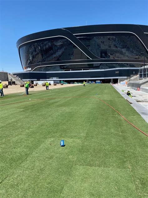 Allegiant Stadium Retractable Field Tray Turning Green Part 2 Lloyd