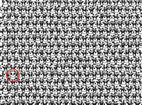 Challenge Your Iq With An Optical Illusion Can You Find The Hidden