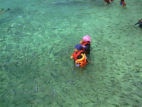 Pulau payar marine park is the only place off the western coast of peninsular malaysia which has exotic coral reefs and marine life similar to that of the indian ocean. Northern Malaysia, Kedah, Pulau Payar Marine Park 马来西亚半岛北部 ...