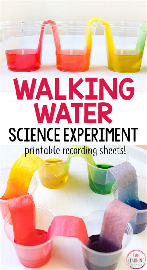 Rainbow Walking Water Science Experiment For Kids