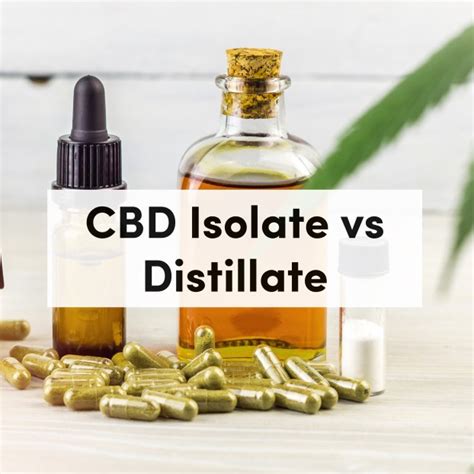 what you need to know about cbd isolate vs full spectrum cbd