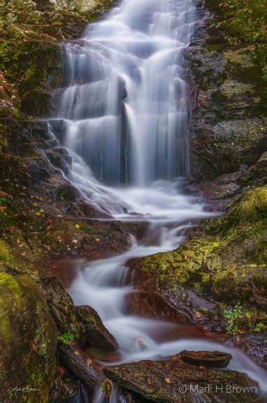Forest Waterfall Vertical Photography By Mark H Brown
