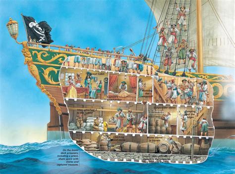 A pirate ship is a type of amusement ride based on pirate ships, consisting of an open, seated gondola (usually in the style of a pirate ship) which swings back and forth. A Cross-Section of Life Aboard a Pirate Ship - Earthly Mission