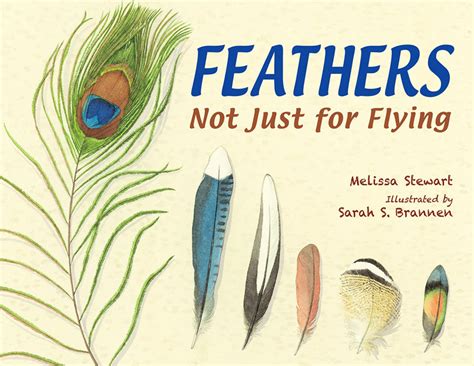 10 New Beautiful Books On Feathers Feathers The Magnificent Chicken Images Take Flight