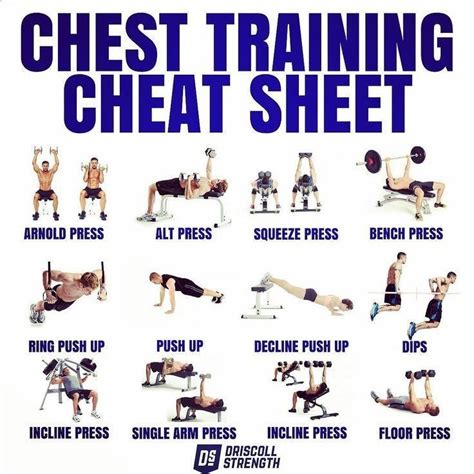 Chest Workout Cheat Sheet And Training Plan The Collection Of The Most