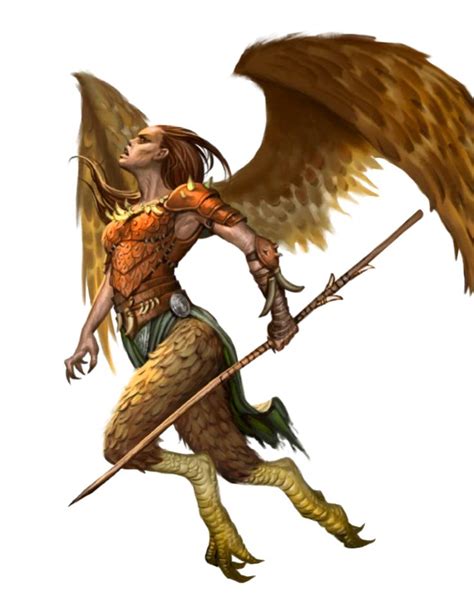 Female Harpy Ranger Or Hunter Pathfinder Pfrpg Dnd Dandd 3 5 5e 5th Ed D20 Fantasy Fantasy