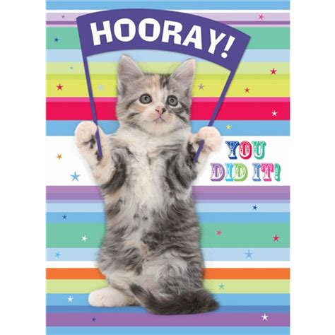 Hooray You Did It Felicitatie Kaart Met Schattig Kitten Forskolin Congratulations Kitty