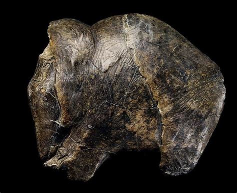 The Předmostí Mammoth Was Skillfully Carved In Mammoth Ivory With
