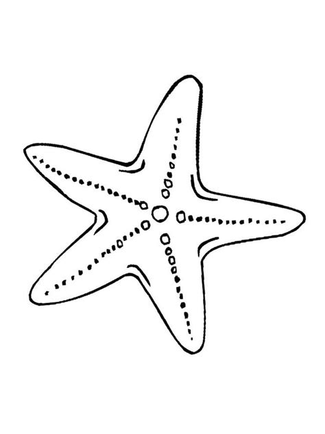Desenho De Estrela Do Mar Para Imprimir Reverasite
