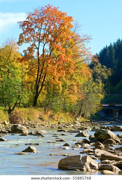 Autumn Mountain Stony River View Some Stock Photo 55885768 Shutterstock