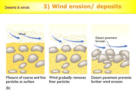 3 Wind Erosion Deposits Deserts And Winds Sand Dune Formation 3 Wind