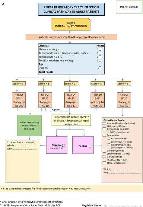 Upper respiratory tract infection upper respiratory tract infectionclassification & external resources conducting passages. Effectiveness of clinical pathway for upper respiratory ...