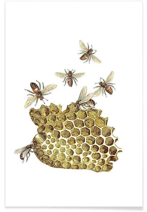 Bees And Honeycomb Poster Juniqe