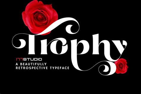 Trophy Stylish Serif Font
