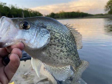 15 Best Crappie Fishing Lakes In Oklahoma Best Fishing In America