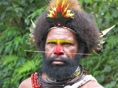 Huli Wig Man Picture Of Papua New Guinea South Pacific Tripadvisor